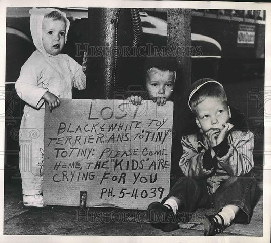 1952 Press Photo Kathy Gerald & Donald Kale looking for 5 month old puppy back - Historic Images