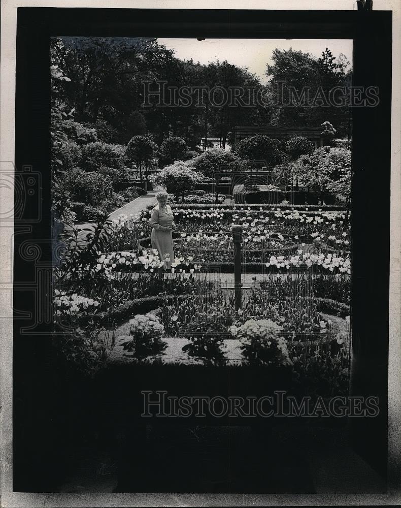 1949 Press Photo Mrs William G Mather Of 12407 Lake Shore Blvd Takes Garden Tour - Historic Images