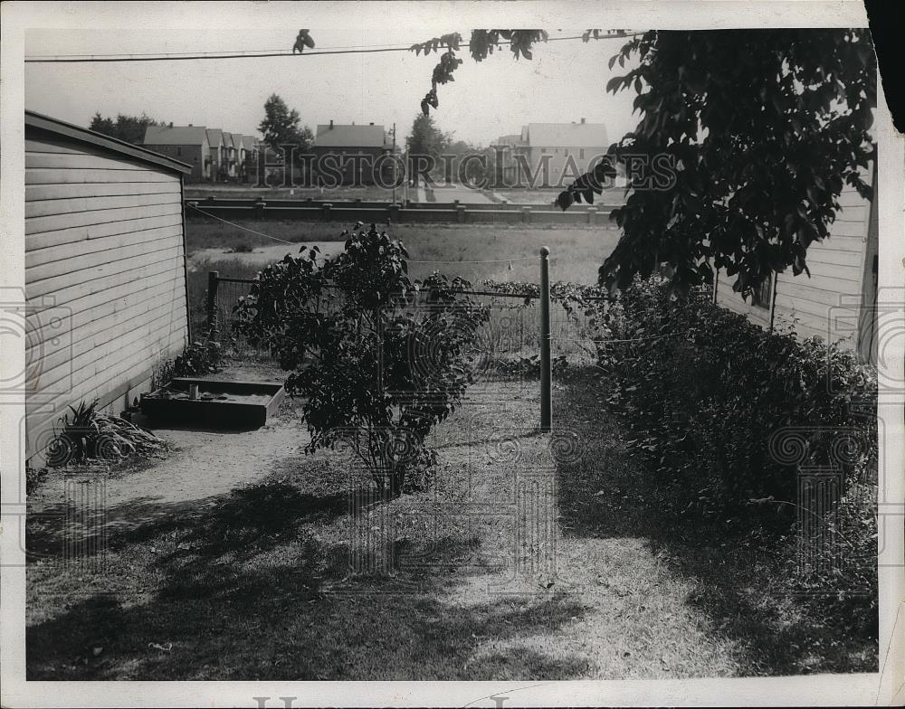 1953 Press Photo House backyard fence and trees - Historic Images