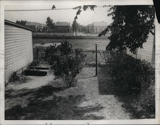 1953 Press Photo House backyard fence and trees - Historic Images