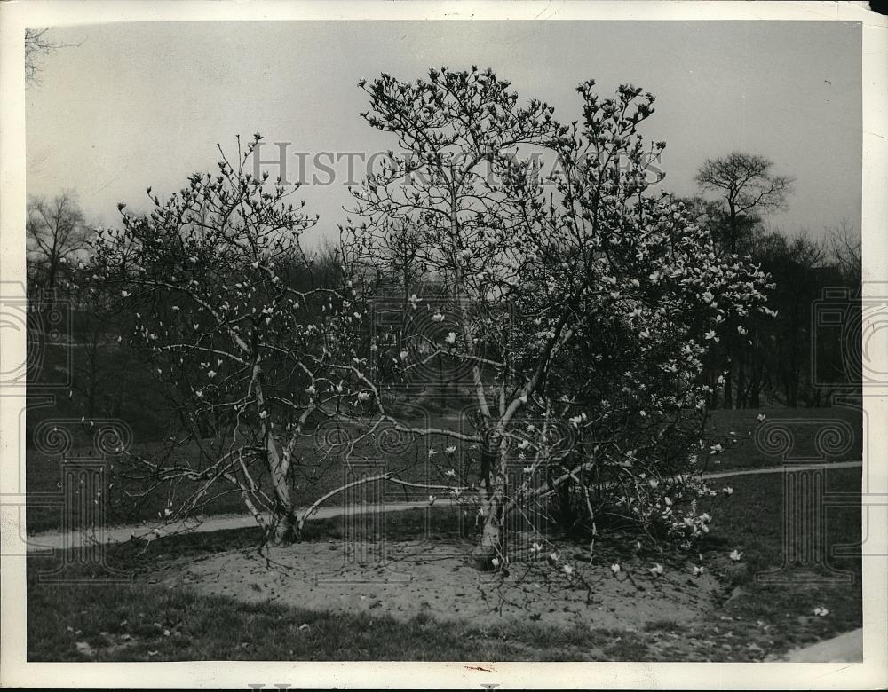 1934 Press Photo Garden - neb31929 - Historic Images