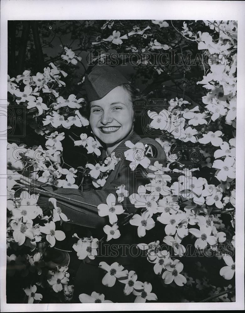 1954 Press Photo Army Cpl. Anseline de Jel among dogwood blooms, Fort McPherson - Historic Images