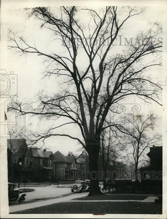 1934 Press Photo Street Scene with Housing - Historic Images