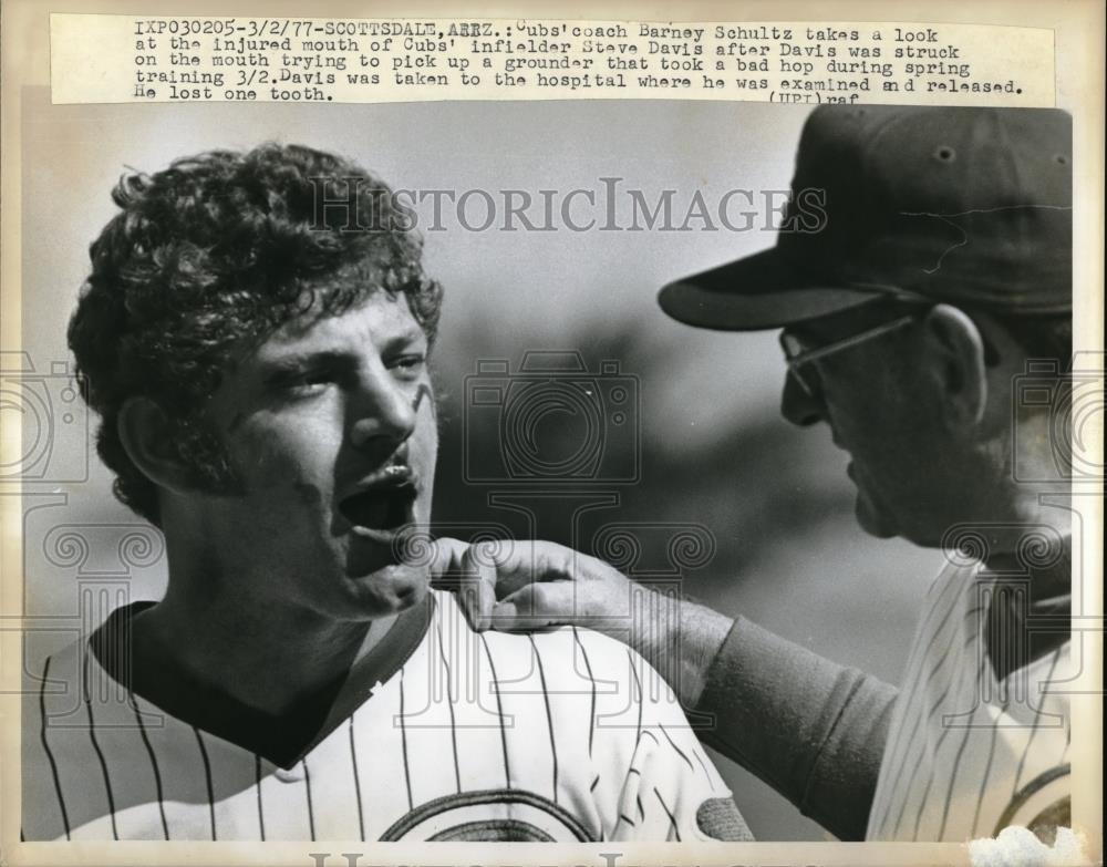 1977 Press Photo Cubs Coach Barney Schultz Check Injured Mouth of Steve Davis - Historic Images