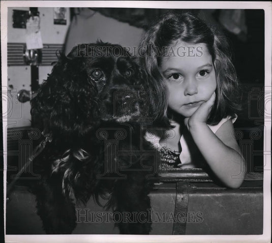 1951 Press Photo Pamela Moore & Cocker Spaniel Wait On Dad at Customs - Historic Images
