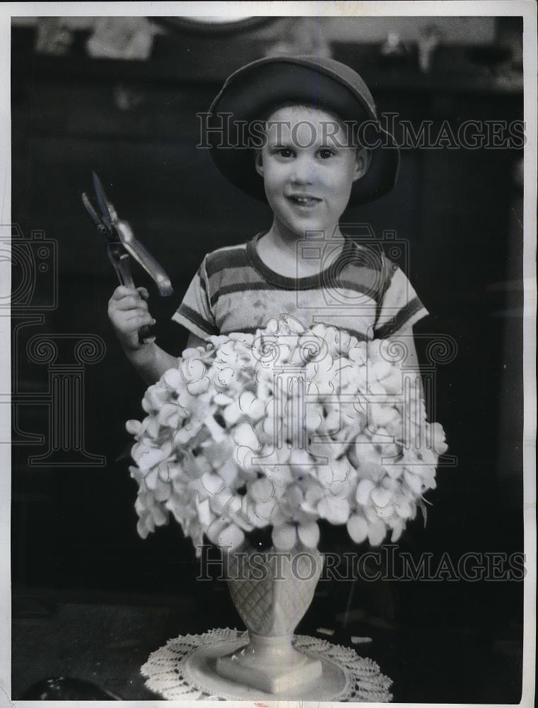 1962 Press Photo Marty French at Four-Years Old Clipped Hydrangea Blossom - Historic Images