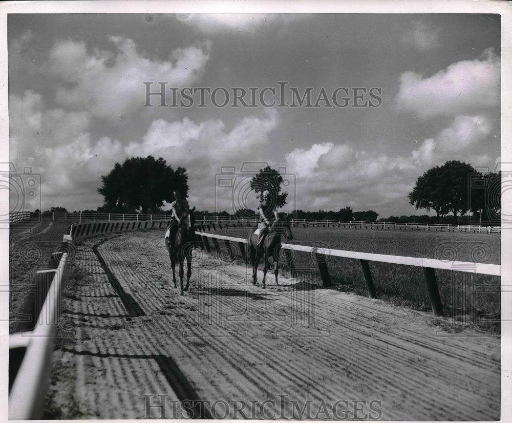 1951 Press Photo Yearling Horses Dickey Stable Training For Racing Florida - Historic Images