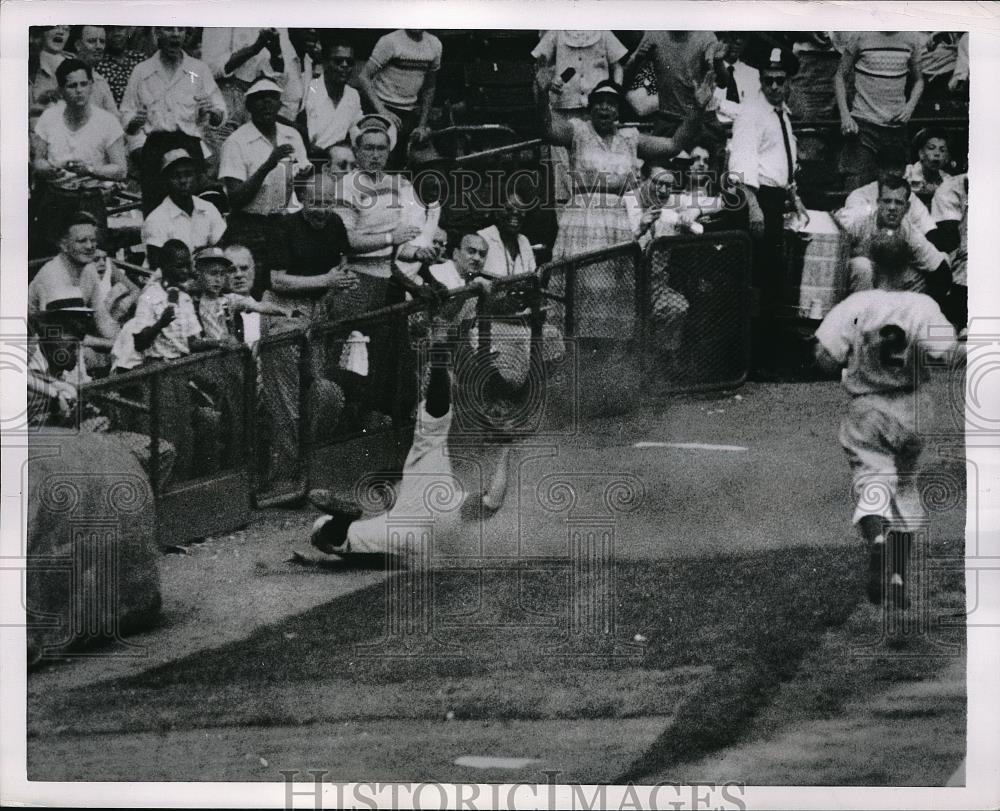 1952 Press Photo Andy Pafko Outfielder Dodgers Knocked Out By Fly Ball Reds Game - Historic Images
