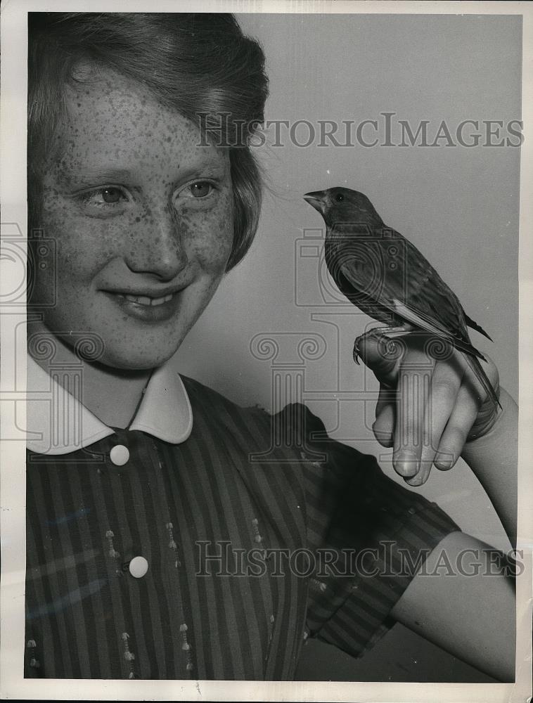 1961 Press Photo Rosalind Young saved a tiny siskin bird&#39;s life - Historic Images