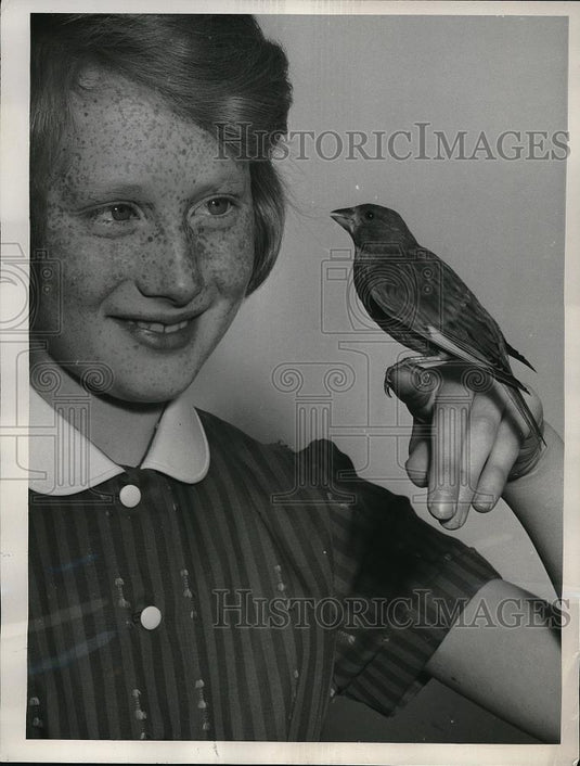 1961 Press Photo Rosalind Young saved a tiny siskin bird's life - Historic Images