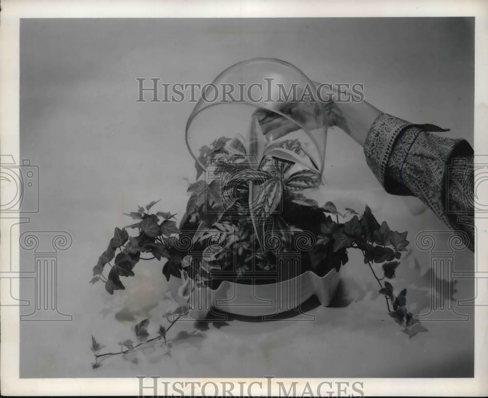 1956 Press Photo New QM Plant-A-Terium Made By Quality Molding Company - Historic Images