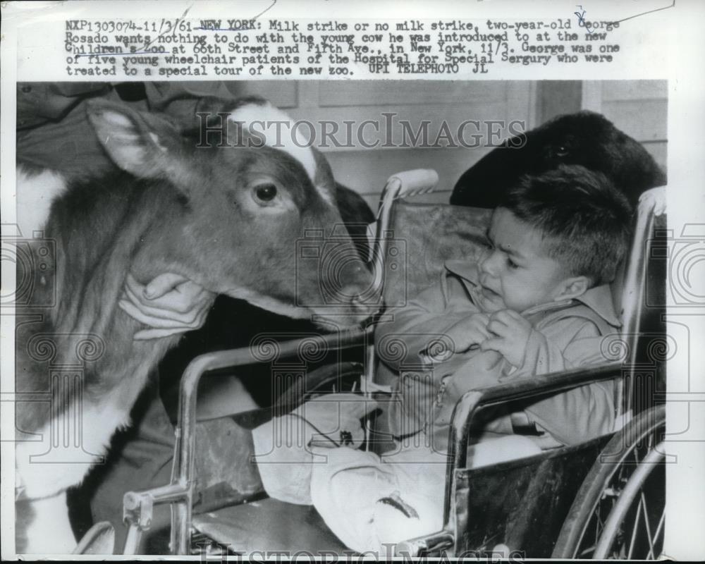 1961 Press Photo New York George Rosado Children&#39;s Zoo - Historic Images