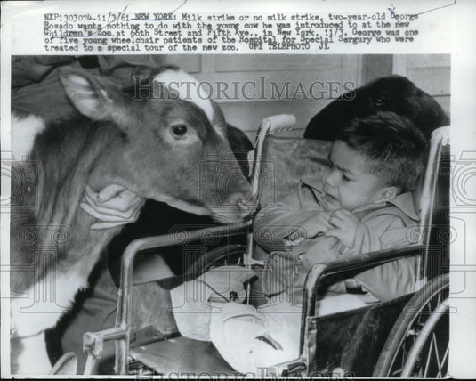 1961 Press Photo New York George Rosado Children's Zoo - Historic Images