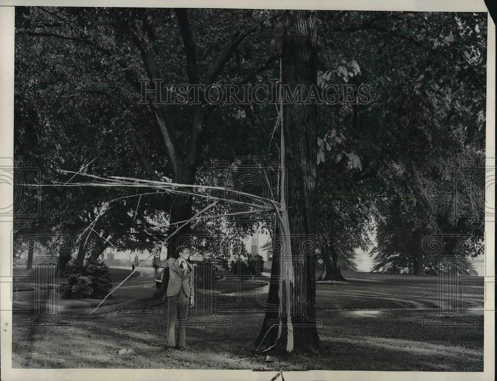 1934 Press Photo Lightning Struck Tree at White House While Mrs Roosevelt Guests - Historic Images