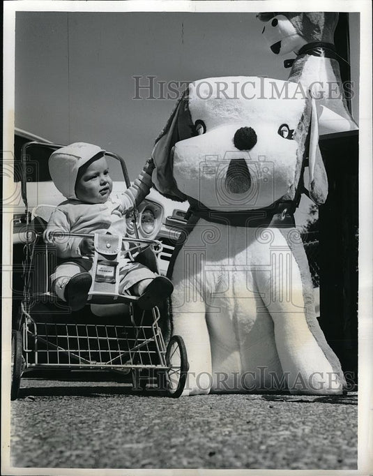 1962 Press Photo Wash. D.C. Rany Roberts & stuffed toy - Historic Images