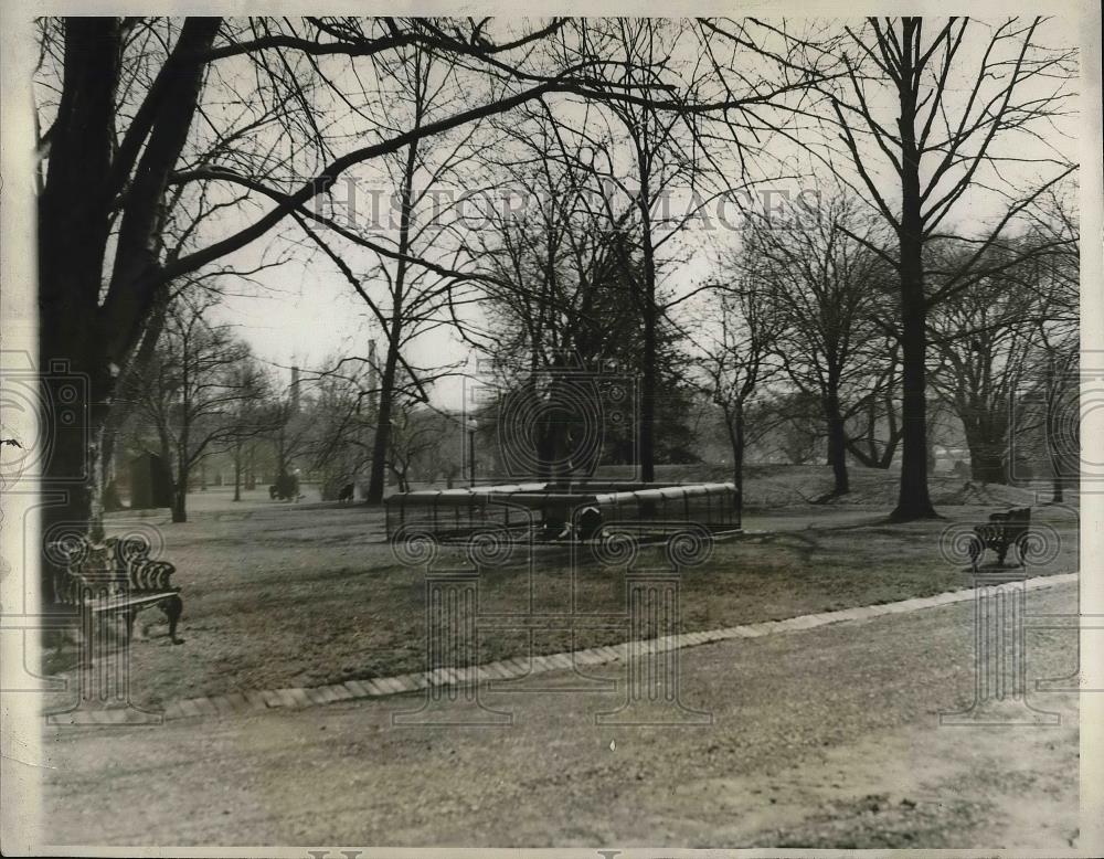 1930 Press Photo White House Raccoon Rebecca Quarters South Lawn - Historic Images