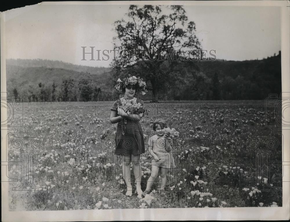 1934 Press Photo California Poppies Barbara and Shirley NOble - Historic Images