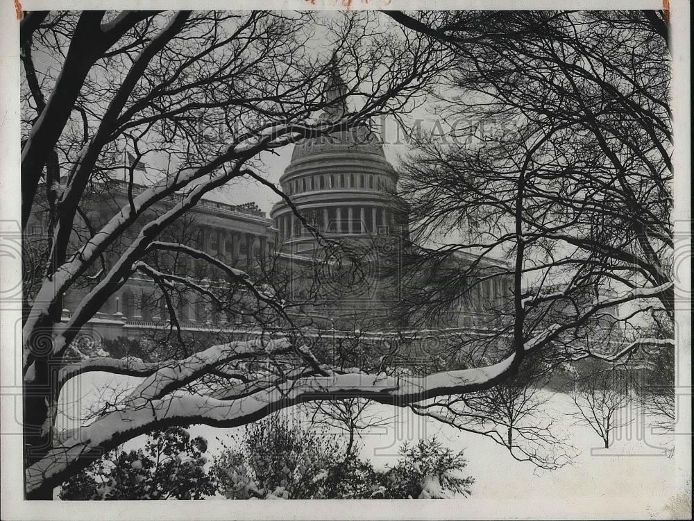 1930 Press Photo Trees Covered in Snow Near Capital in Washington D.C. - Historic Images