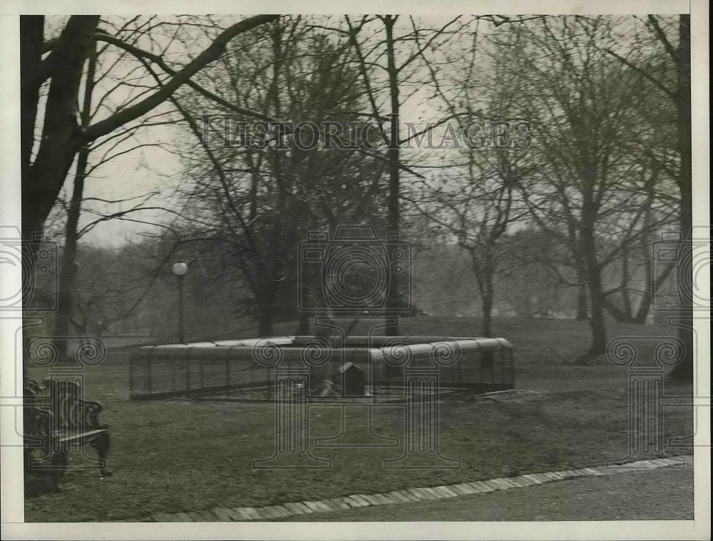 1928 Press Photo Rebecca Pet Raccoon of White House Quarters on South Lawn - Historic Images