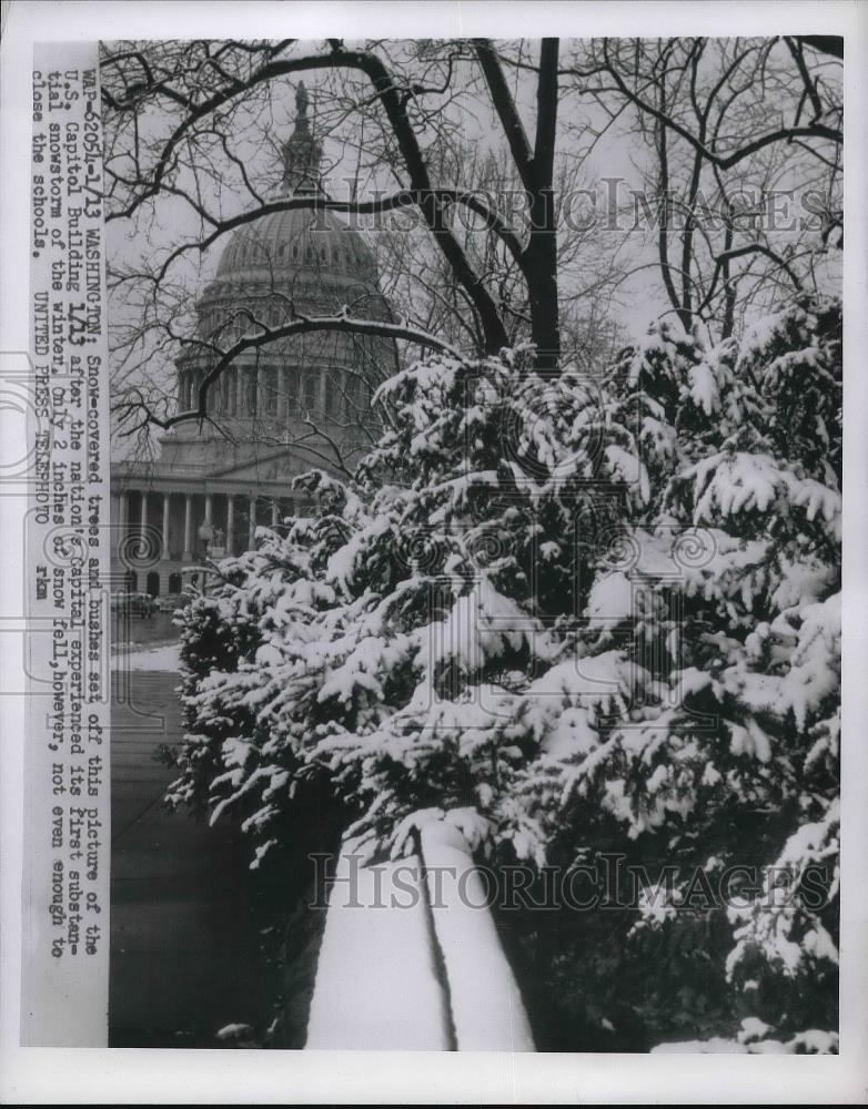 1955 Press Photo Snow Covered Trees And Bushes Outside US Capitol Building - Historic Images