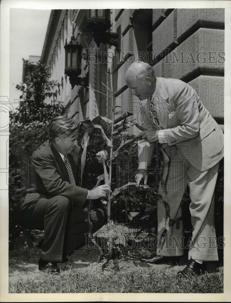 1940 Press Photo Henry Wallace &amp; Robert Hinckley Examine Corn at Commerce Dept. - Historic Images