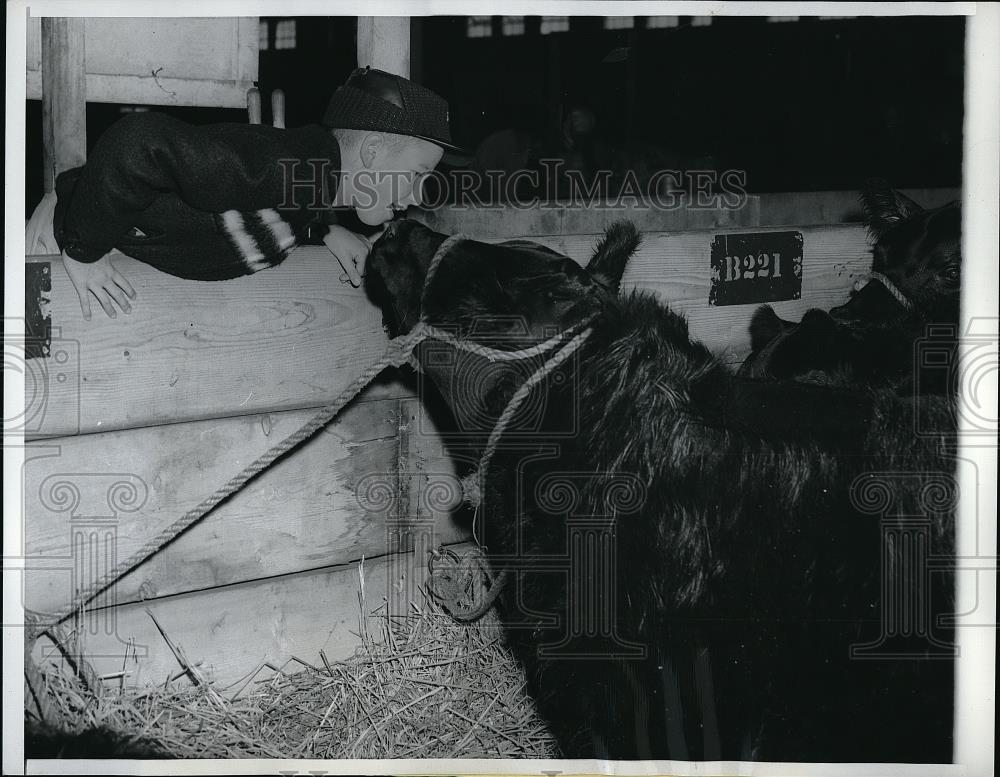 1961 Press Photo David Sharp at the International Livestock Exposition - Historic Images