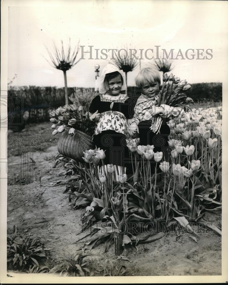 1944 Press Photo Children pf Henry Van Dorp harvesting Flowers. - neb41783 - Historic Images