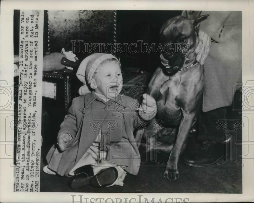 1948 Press Photo NYC, Paul Terry, 15 months &amp; boxer dog arrive from France - Historic Images