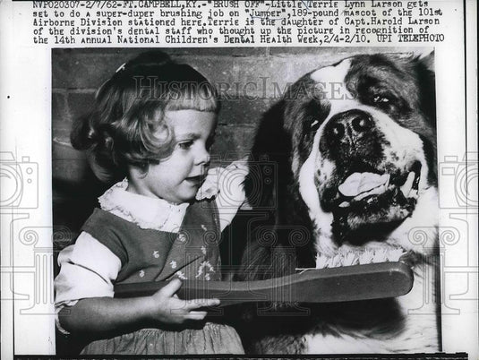 1962 Press Photo Terrie Lynn Larsen Brushes Jumper Mascot Of 101st Airborne - Historic Images
