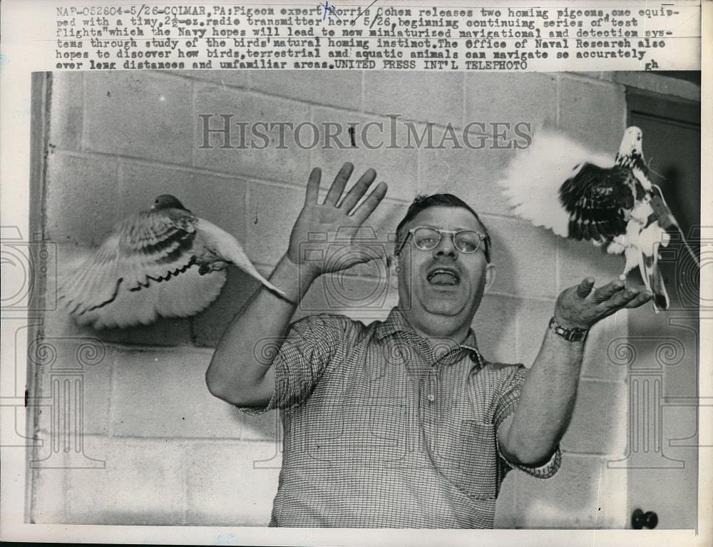 1961 Press Photo Pigeon Expert Morris Cohen Releasing Homing Pigeons - Historic Images