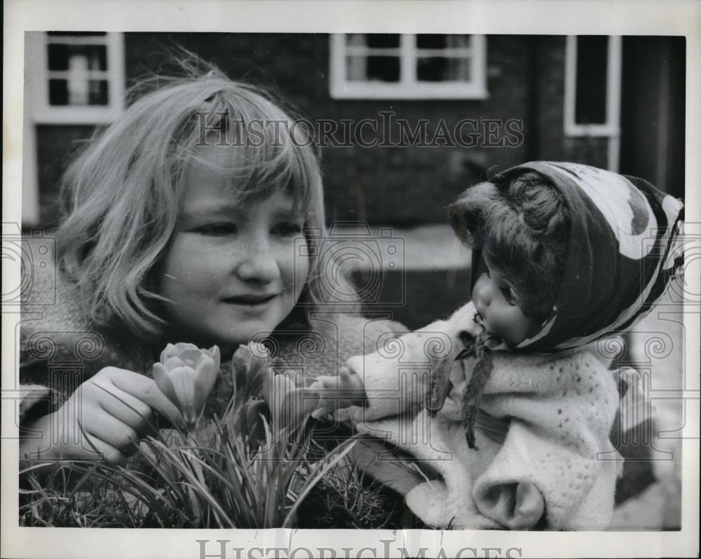 1963 Press Photo Julie Ockenden of England with a Crocus Blossoms Flowers. - Historic Images