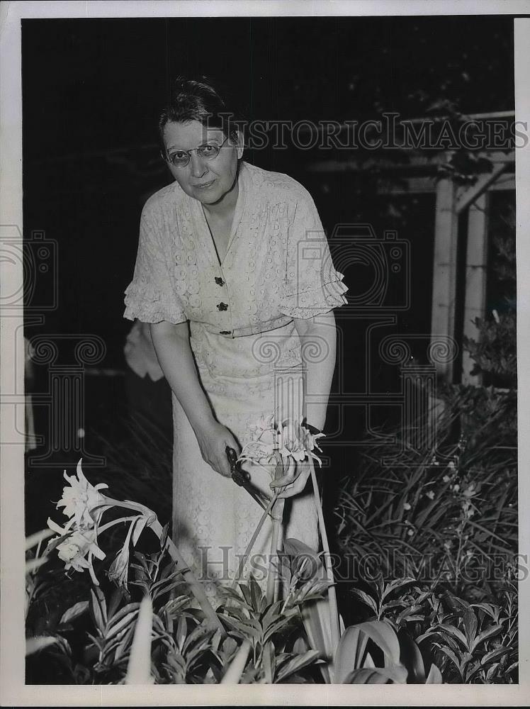 1937 Press Photo Mrs. Mildred M. Clements candidate for mayor of Annapolis Mo. - Historic Images