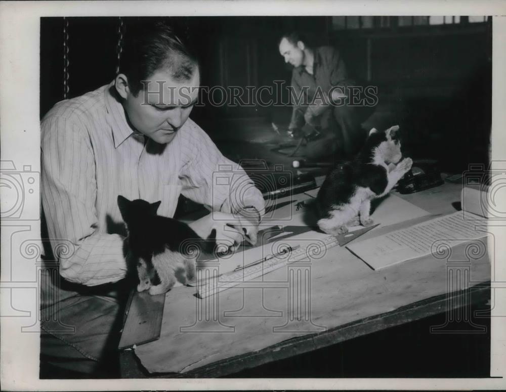 1945 Press Photo Jersy City, N.J. Tom Ayling, industrial engineer &amp; his kitten - Historic Images