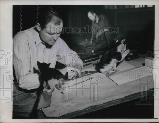 1945 Press Photo Jersy City, N.J. Tom Ayling, industrial engineer & his kitten - Historic Images