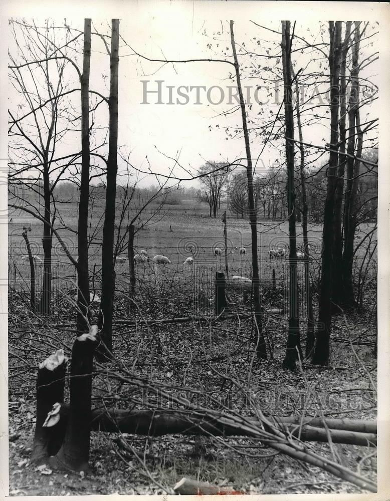 1954 Press Photo Location of Ohio Turnpike From Indiana - neb09547 - Historic Images