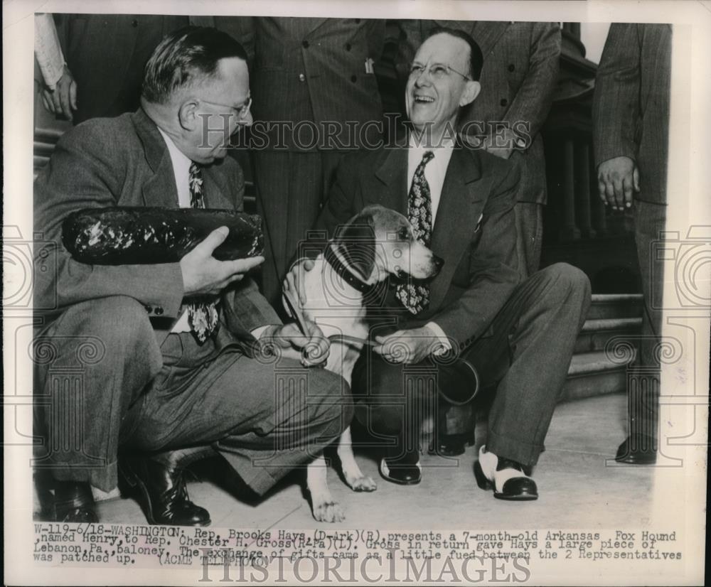 1948 Press Photo Rep. Brooks Hays of Arkansas show his Arkansas Fox Hound. - Historic Images