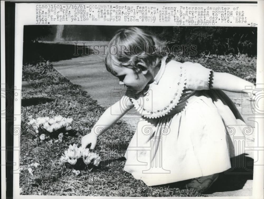 1961 Press Photo Jenny Peterson Points at Crocuses in Columbia - Historic Images