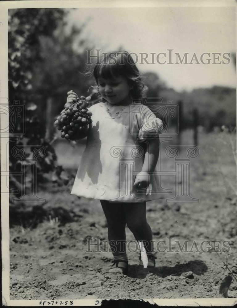 1934 Press Photo Young girl &amp; cherry grapes at vineyards of Lodi, Calif. - Historic Images