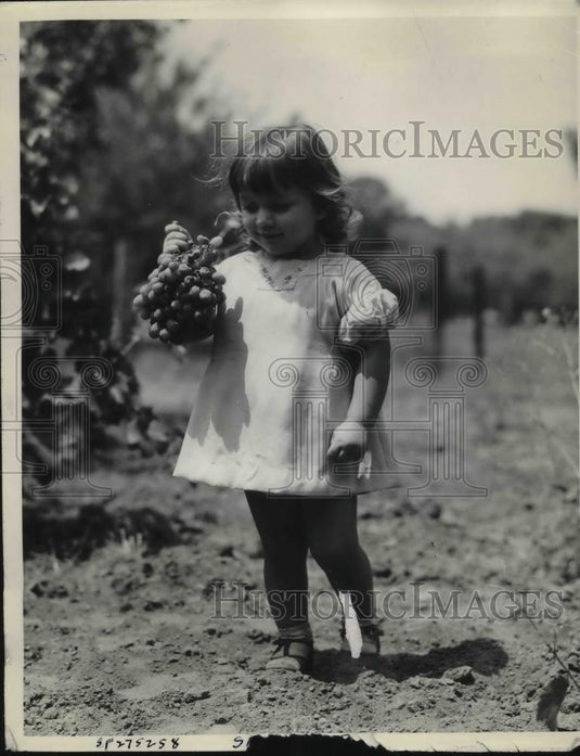 1934 Press Photo Young girl & cherry grapes at vineyards of Lodi, Calif. - Historic Images