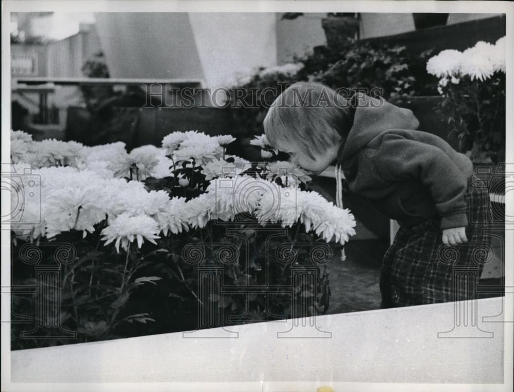 1961 Press Photo Colleen Cahill at Two Smells Flowers at Pennsylvania Farm Show - Historic Images