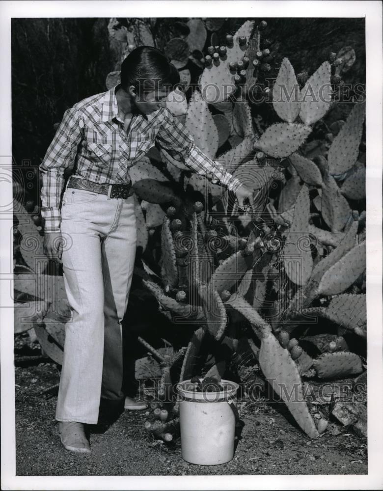 1959 Press Photo Flo Spinner &amp; prickly pear cactus in Phoenix, Ariz. - Historic Images