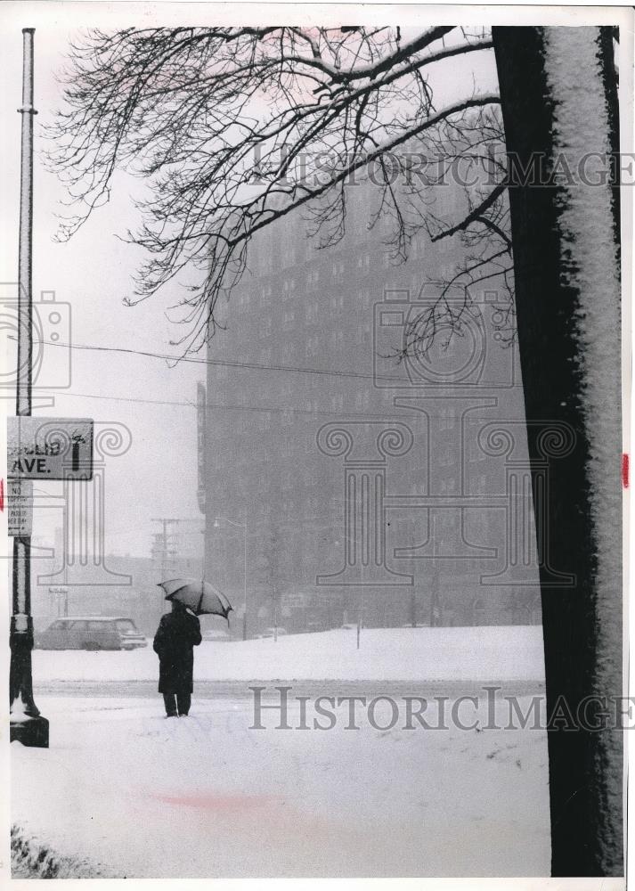 1985 Press Photo Spring snow in Cleveland Ohio - Historic Images