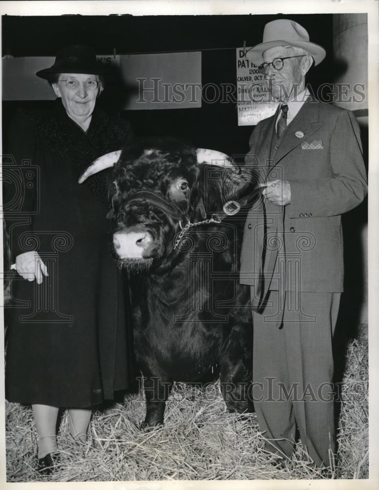 1941 Press Photo Chicago, Mr & Mrs AP George & prize bull "Sheik's Jubilee" - Historic Images