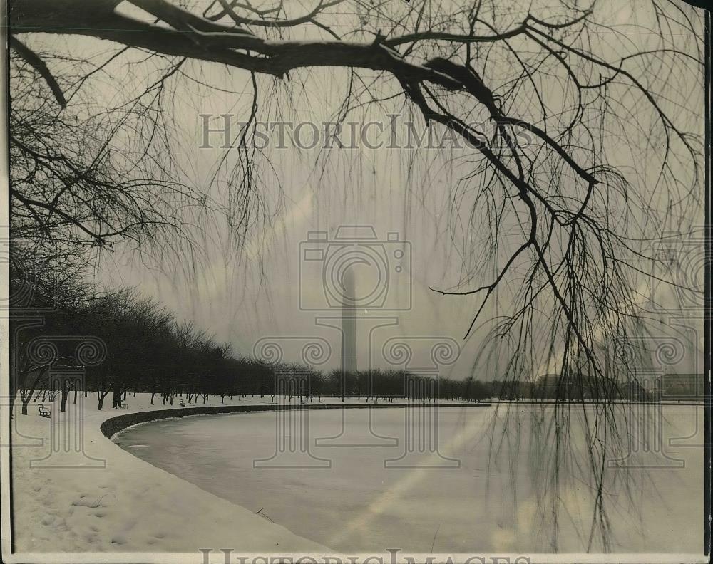 1925 Press Photo Snowy View of Washington&#39;s Japanese Cherry Trees - Historic Images