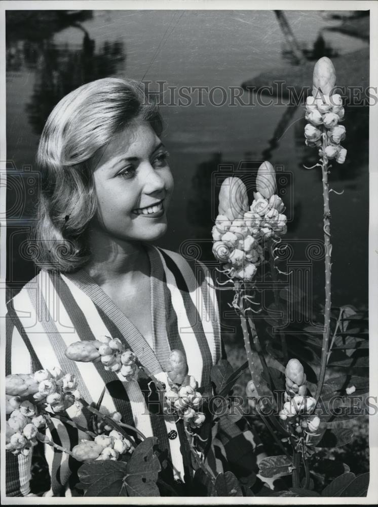 1960 Press Photo Socialite Naysa Nelms looking at candlestick flowers - Historic Images