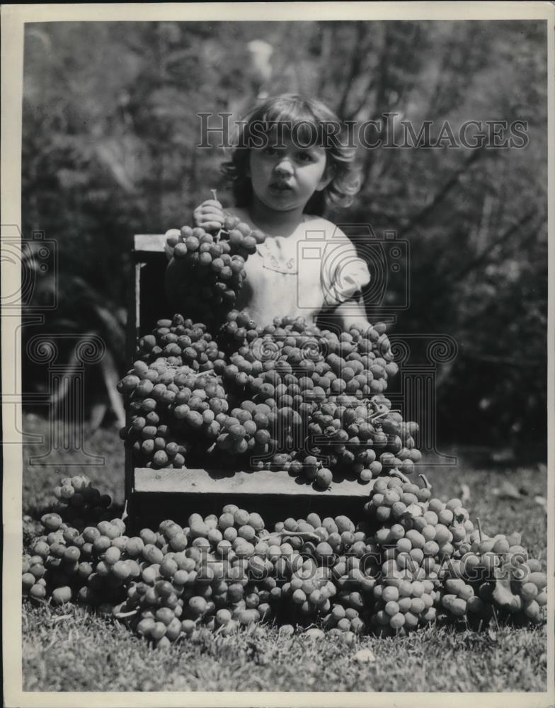 1934 Press Photo Lodi, Calif. Betty Jean German & grapes at harvest festival - Historic Images