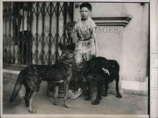 1937 Press Photo Valentine Holdosi, Hungarian boy & his pet dogs - Historic Images