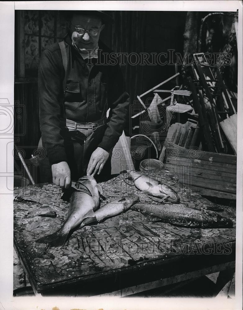 1950 Press Photo Garret Gryzen scaling fish caught in Bay de Noc in Michigan - Historic Images