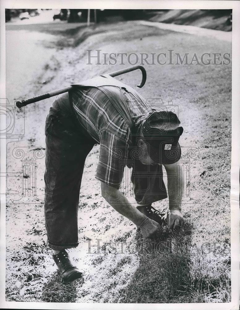 1957 Press Photo Blind Man Frank Mauerman Mows His Grass With Switchblade - Historic Images