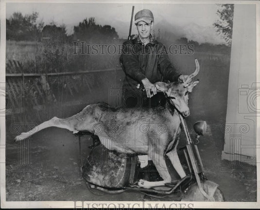 1943 Press Photo Neil C. Avery hunting deer - Historic Images